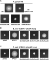 Figure 10