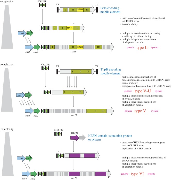 Figure 5.