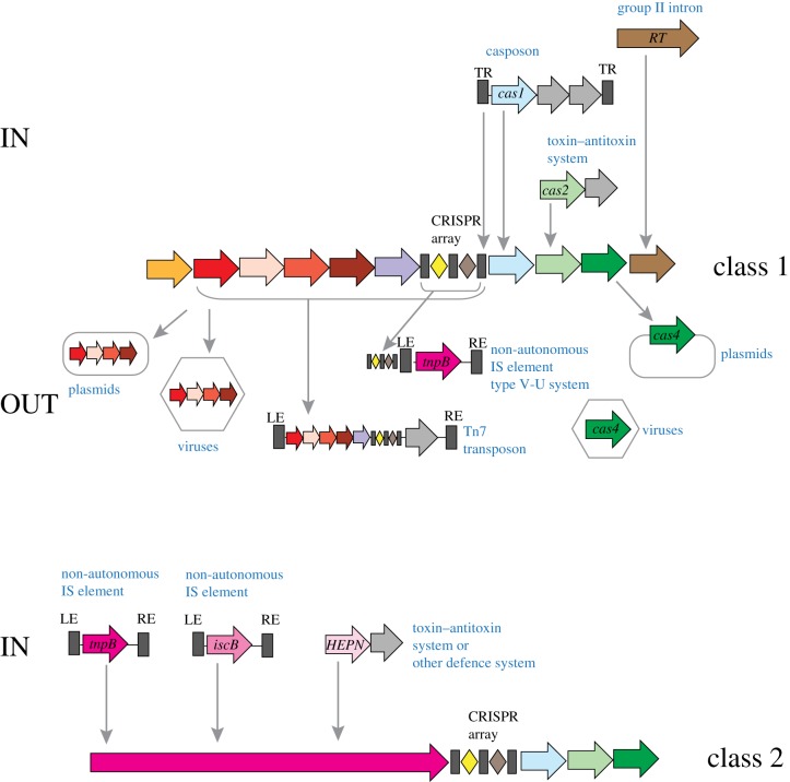 Figure 6.