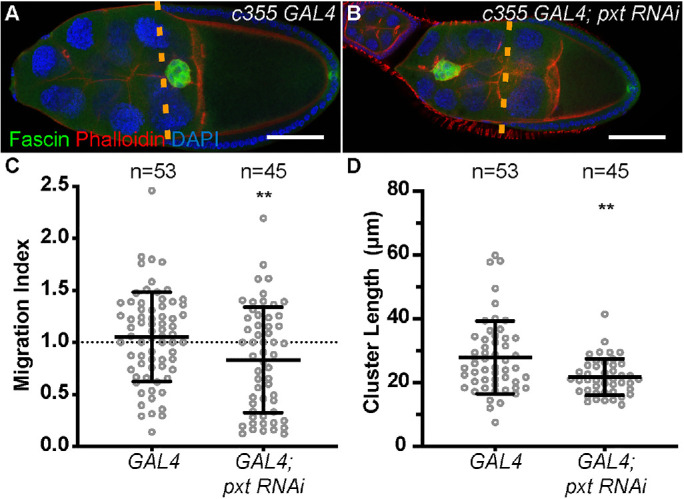 FIGURE 4: