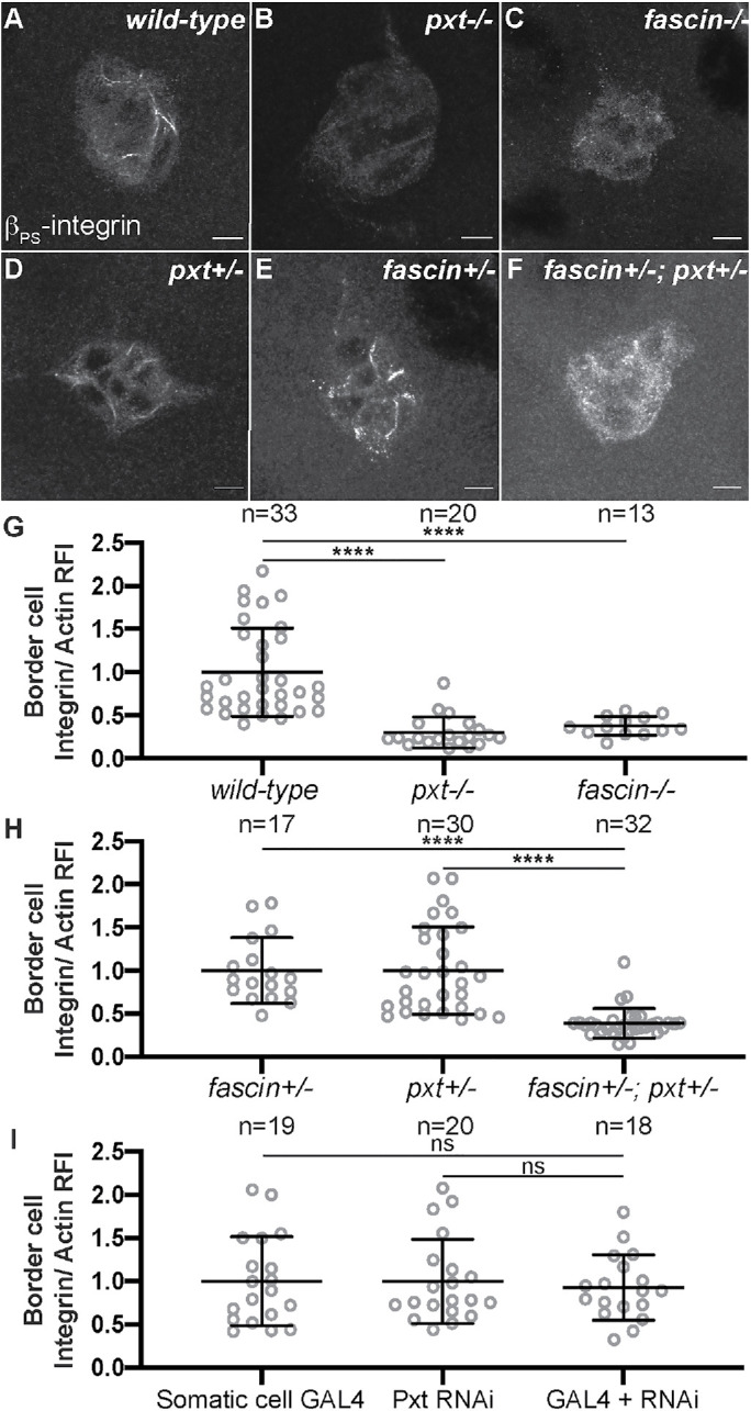 FIGURE 6: