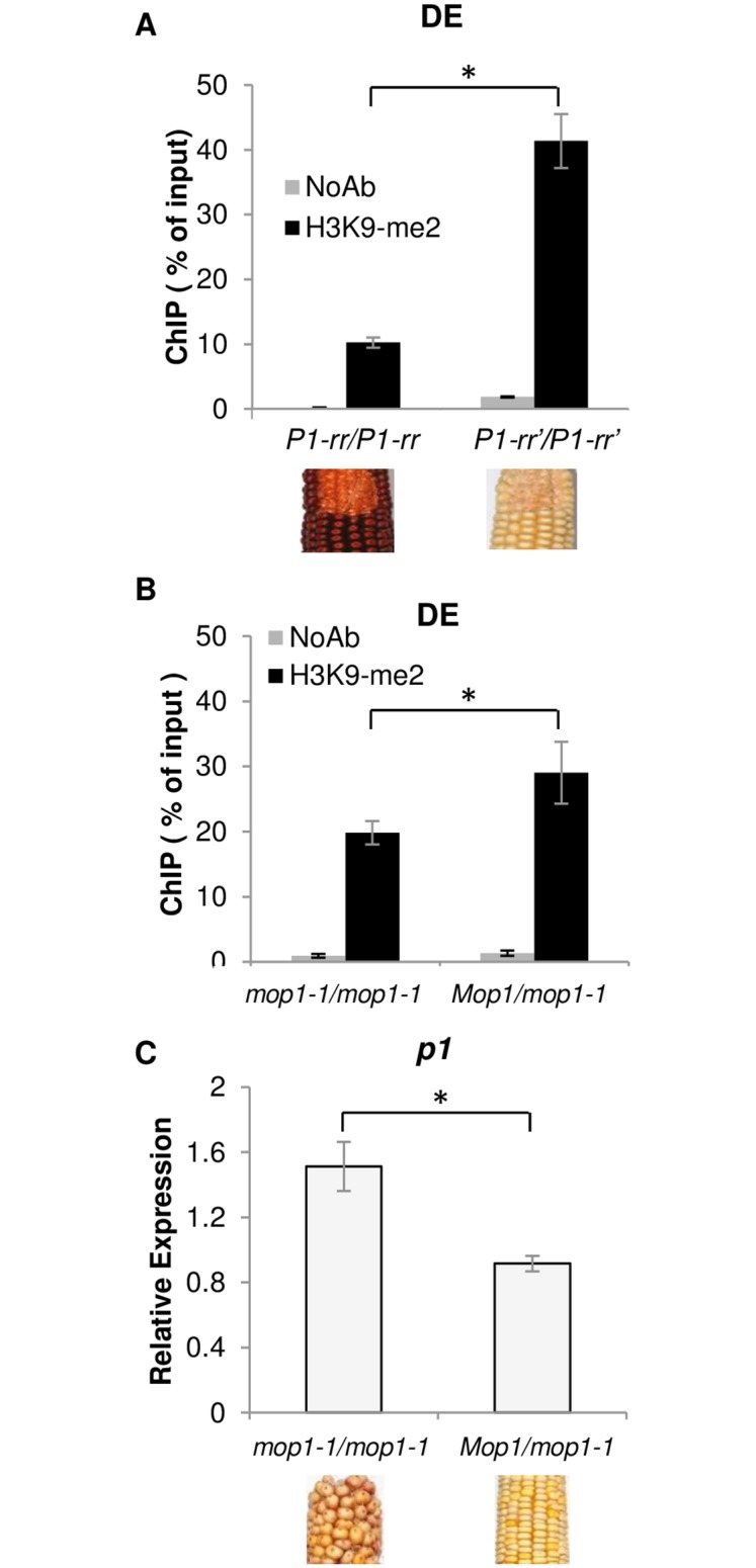 Fig 5