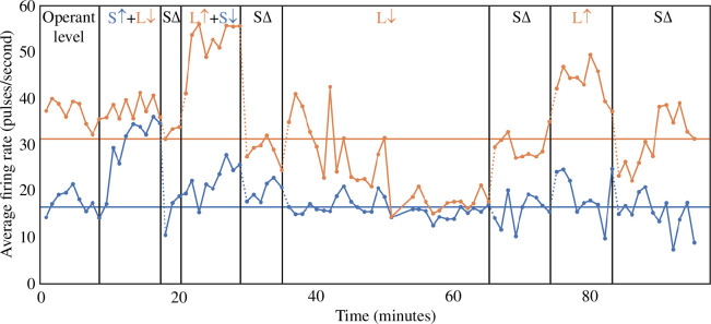 Differential operant conditioning of two independent cortical units (modified with permission from Fetz & Baker [139]).