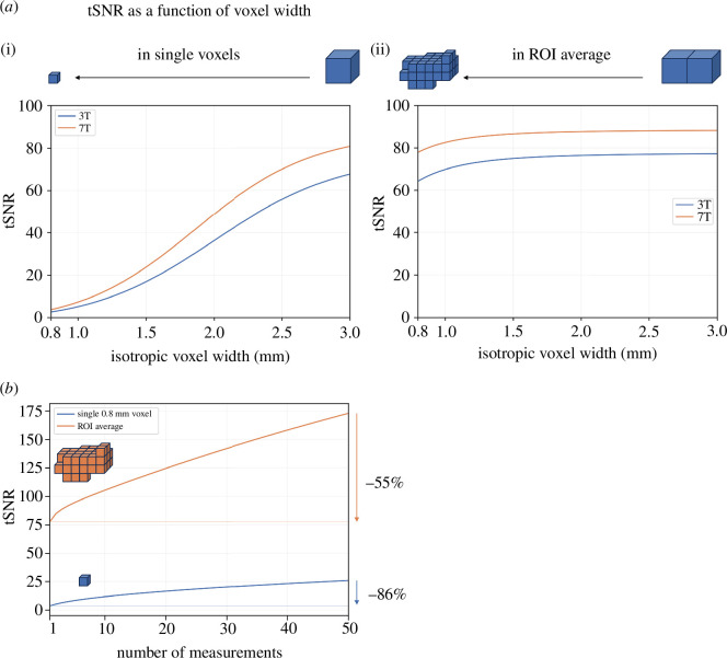 SNR in high-resolution real-time fMRI.