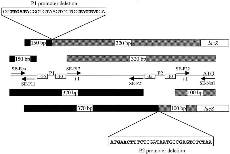 FIG. 5.