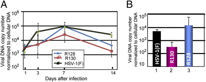 Fig. 6.