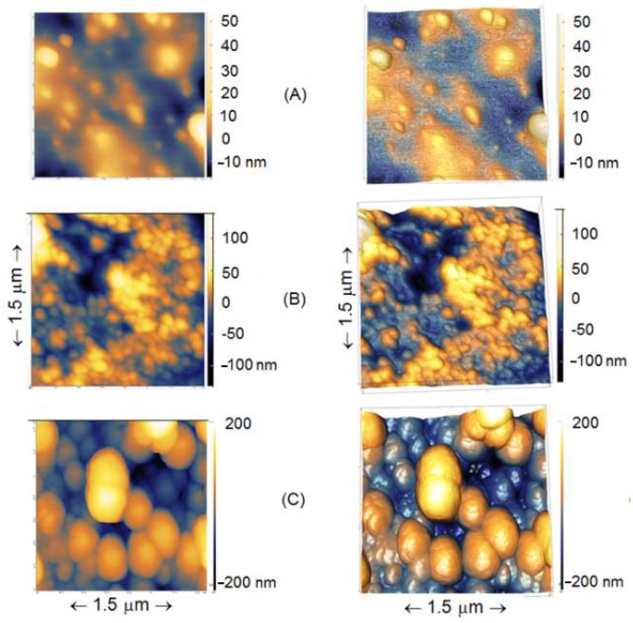 Figure 6