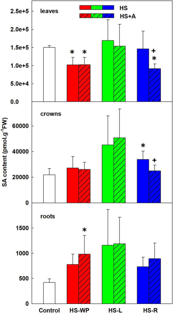 FIGURE 4