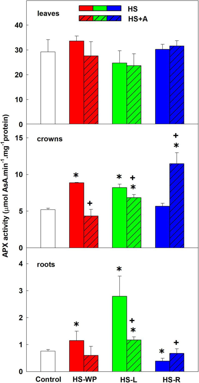 FIGURE 12