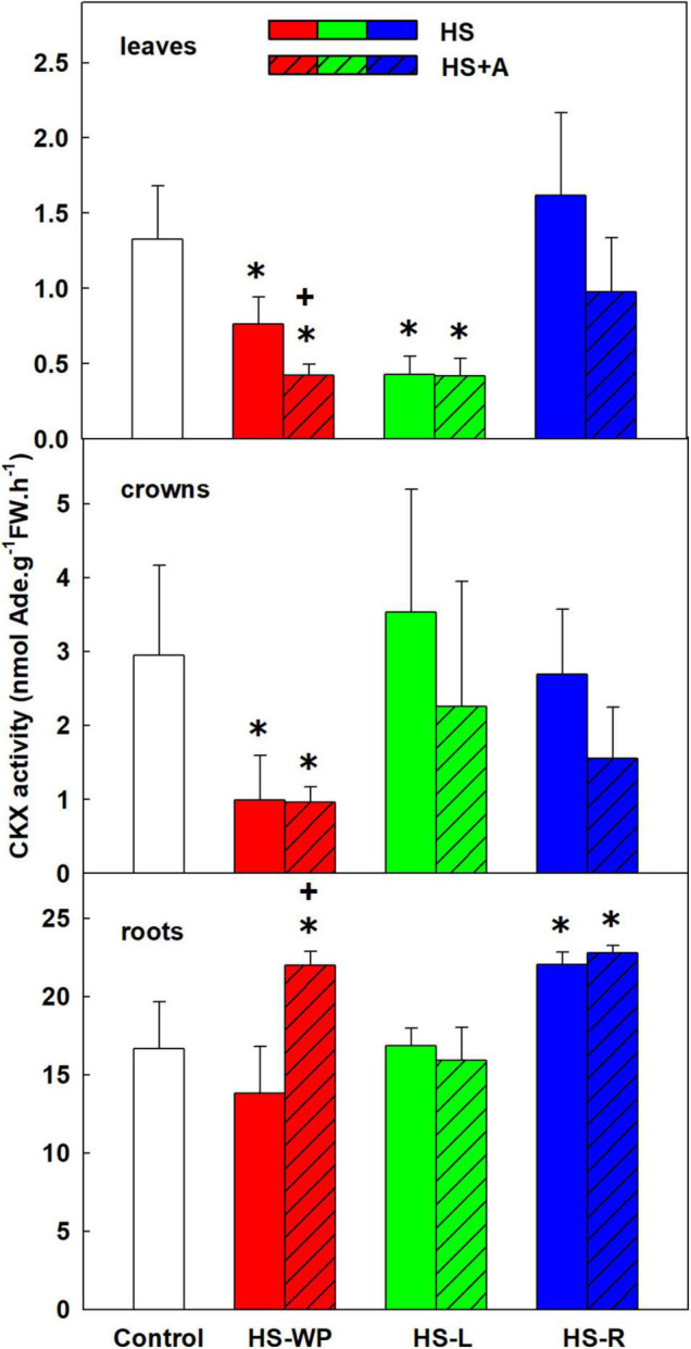 FIGURE 13