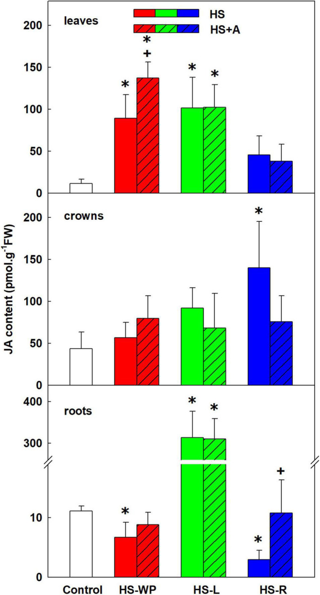 FIGURE 3