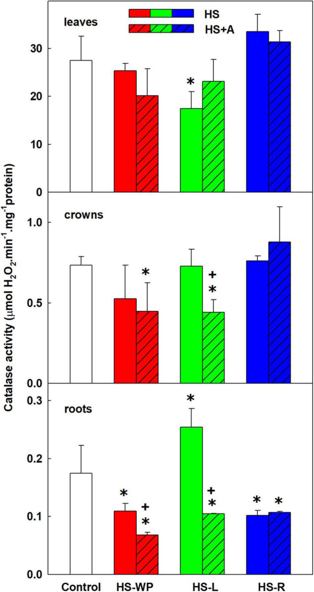 FIGURE 11