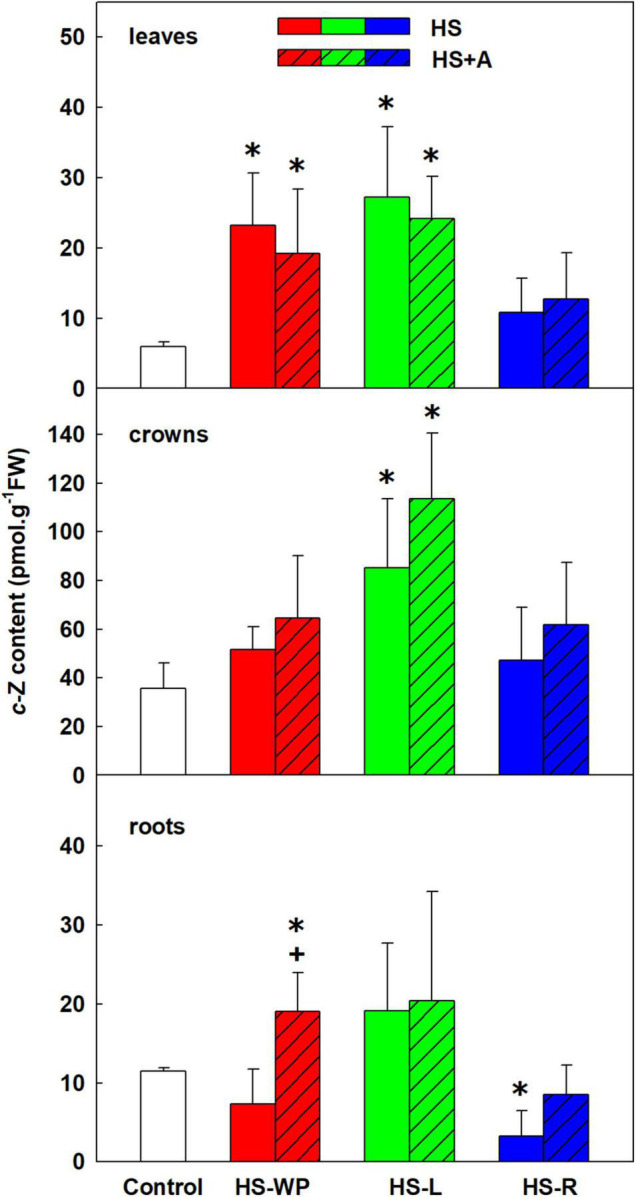 FIGURE 7