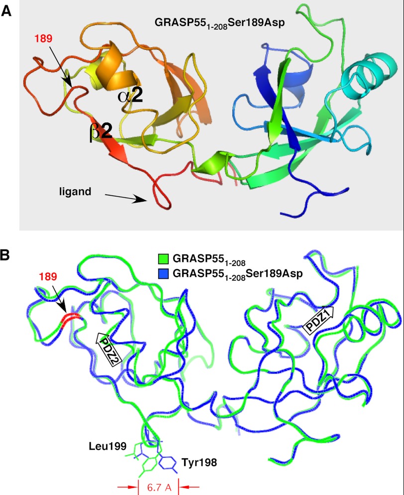 FIGURE 1.