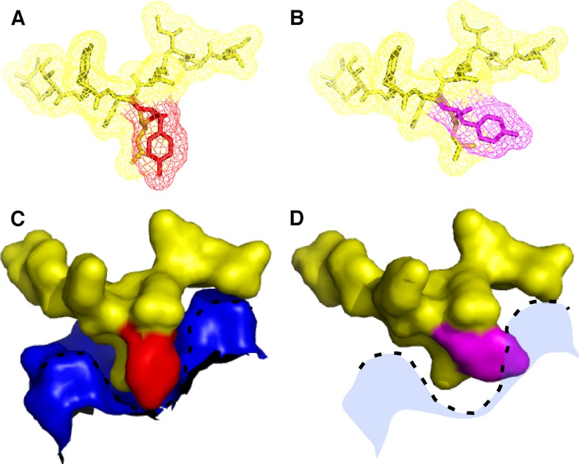 FIGURE 2.