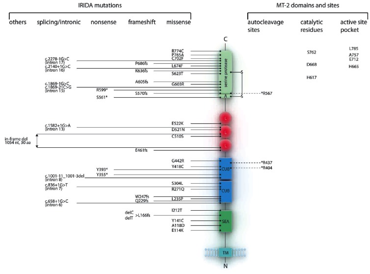 Figure 2.