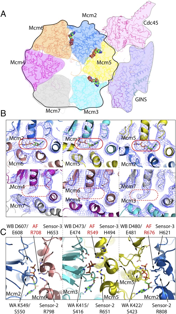 Fig. 3.