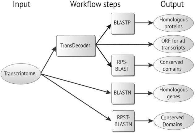 Figure 2: