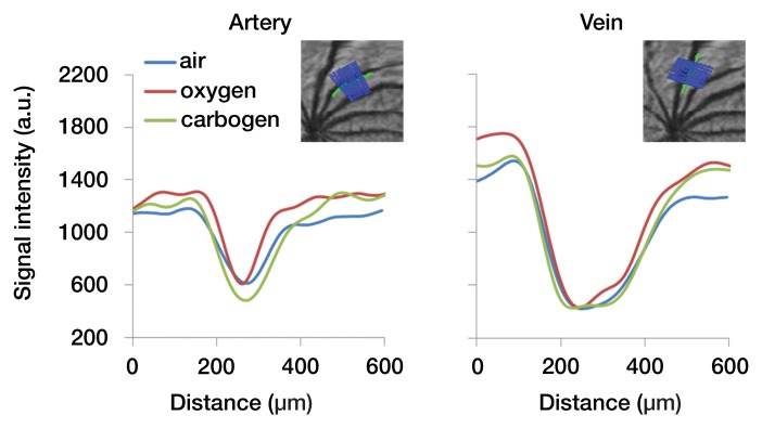 Figure 6b: