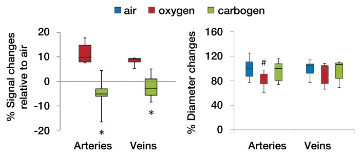 Figure 6c: