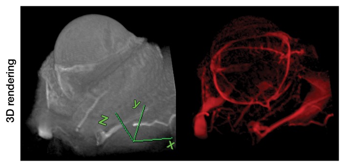 Figure 2c: