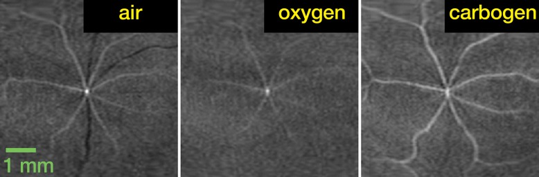 Figure 4a: