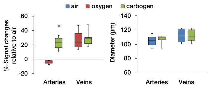 Figure 4c: