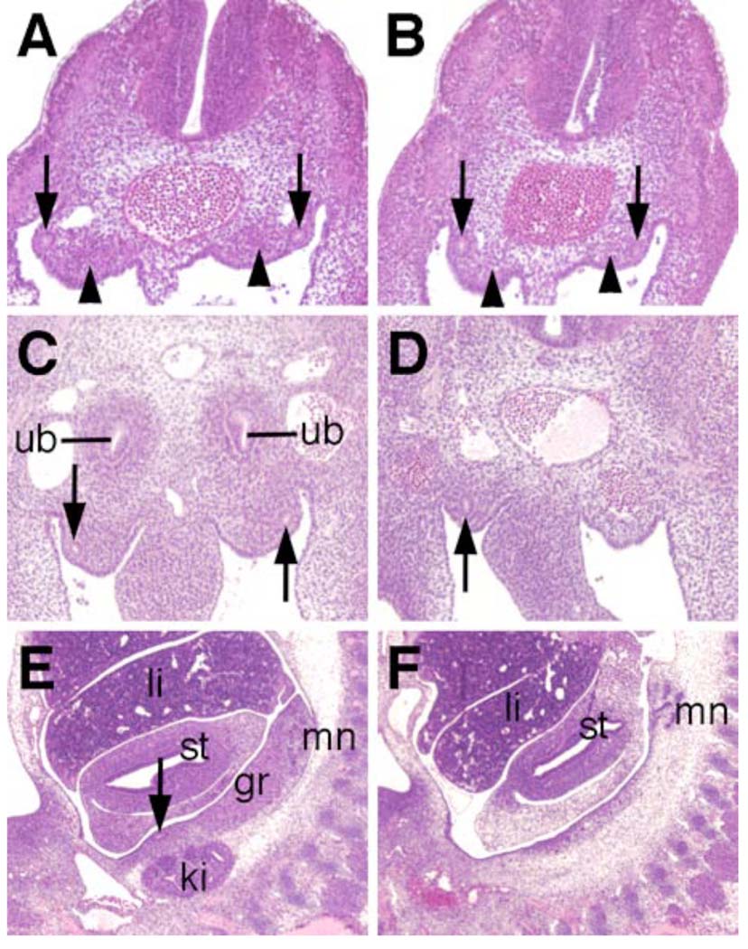 Fig. 9