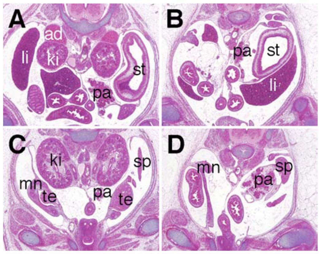 Fig. 8