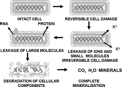 Fig. 7