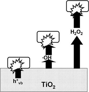 Fig. 5