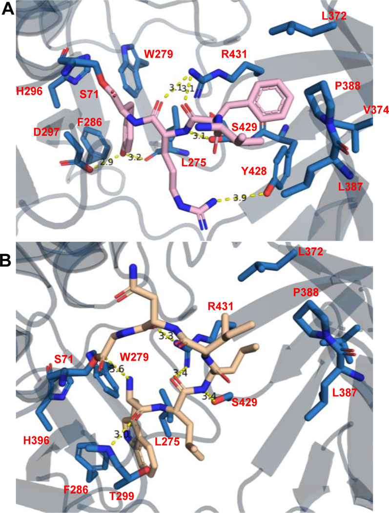 Fig 4.