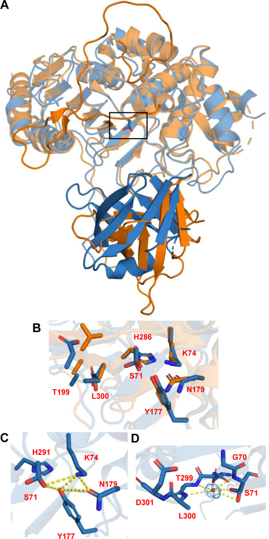 Fig 3.