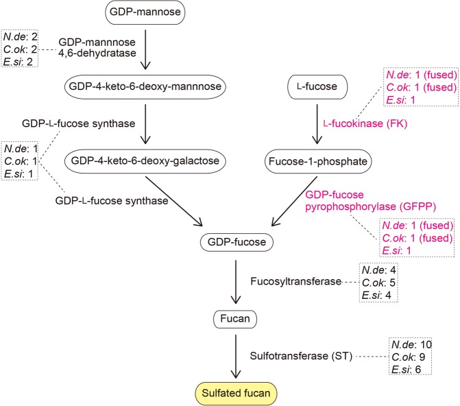 Figure 5