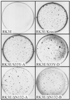 FIG. 4
