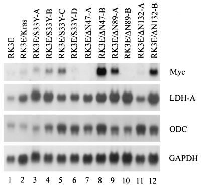 FIG. 6