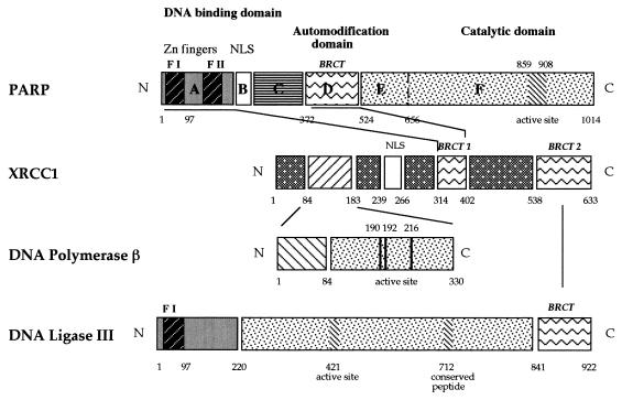 FIG. 7