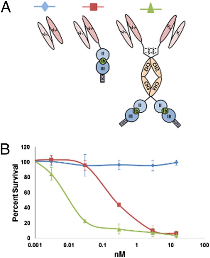 Fig. P1.