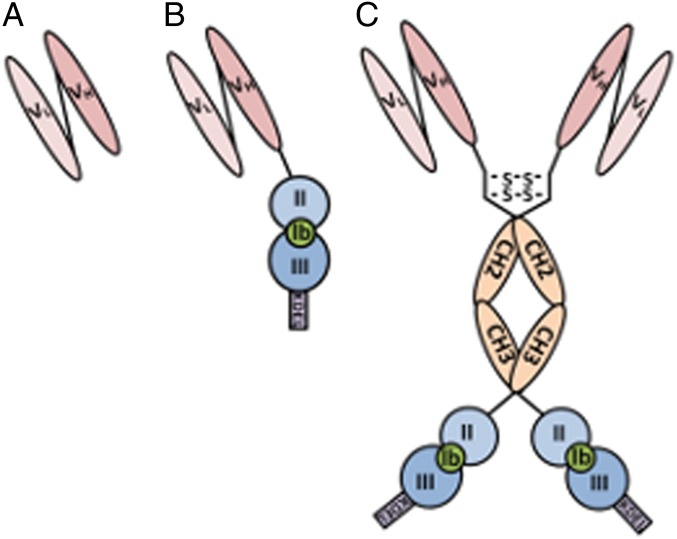 Fig. 1.