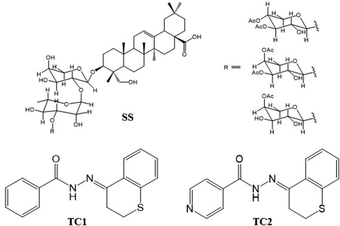 Fig. 1