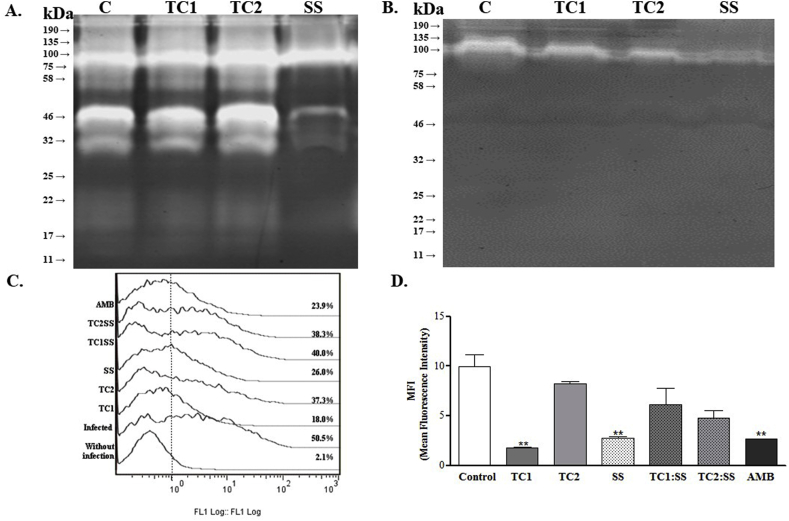 Fig. 8