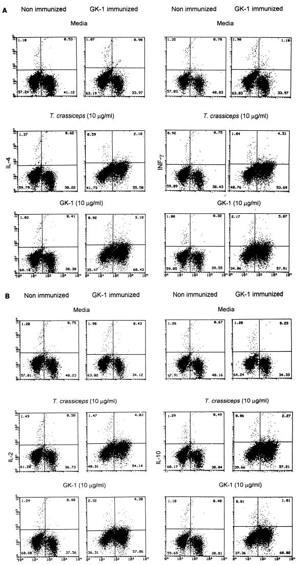 FIG. 3