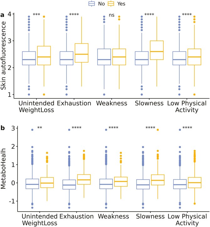 Two panels showing boxplots for frailty phenotype components, grouped by the absence or presence of each component. Panel (A) shows boxplots for the level of skin autofluorescence with higher medians for all presence of deficits, with significance levels indicated as follows: highly significant (p < .001) for Unintended Weight Loss, very highly significant (p < .0001) for Exhaustion, not significant (p > .05) for Weakness, and very highly significant (p < .0001) for both Slowness and Low Physical Activity. Panel (B) illustrates boxplots for the value of MetaboHealth with higher medians for presence of all deficits, with strongly significant (p < .01) for Unintended Weight Loss and very highly significant (p < .0001) for Exhaustion, Weakness, Slowness, and Low Physical Activity. Significance is based on the Mann–Whitney test.