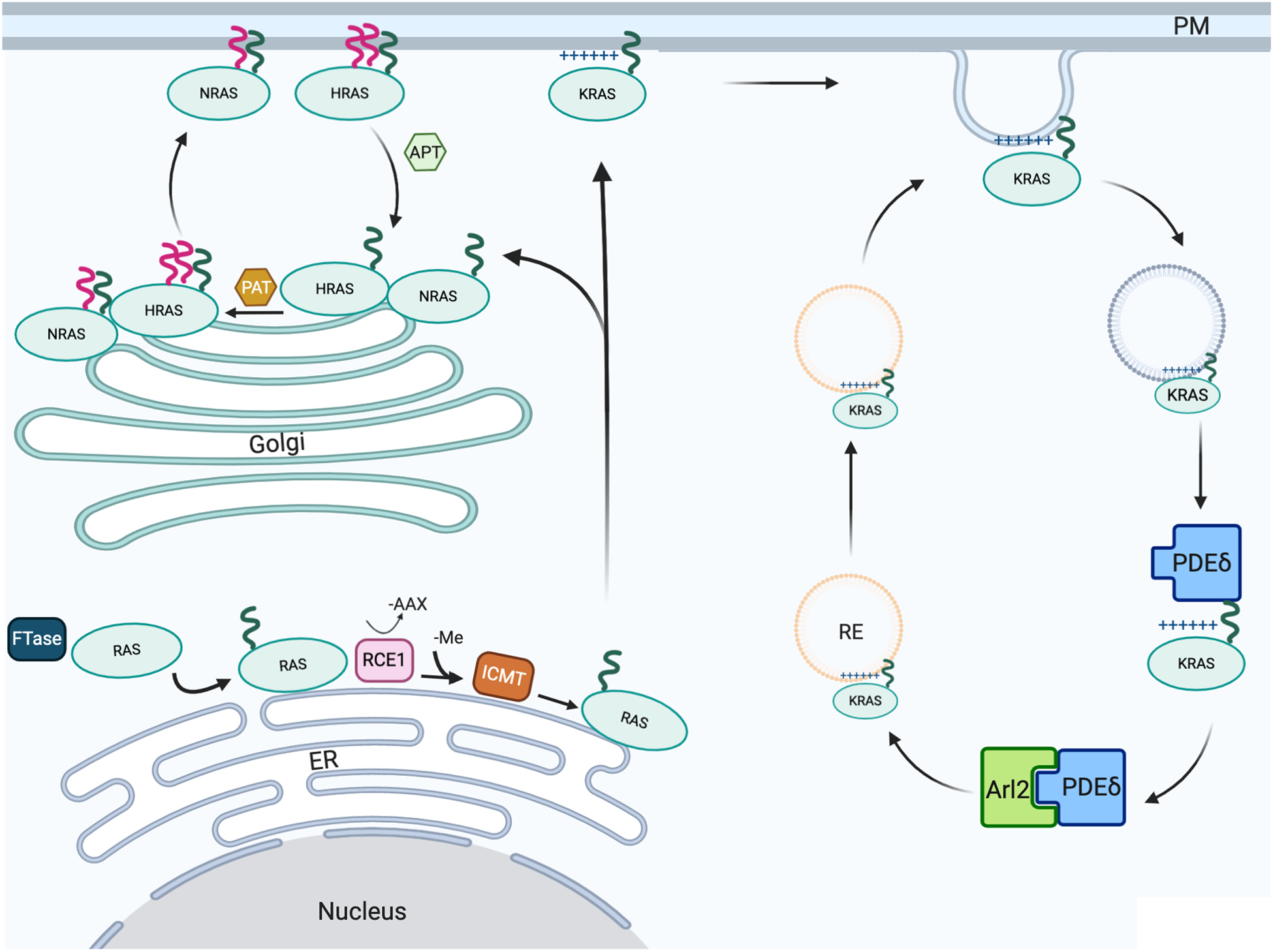 Figure 1.