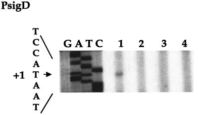 FIG. 5