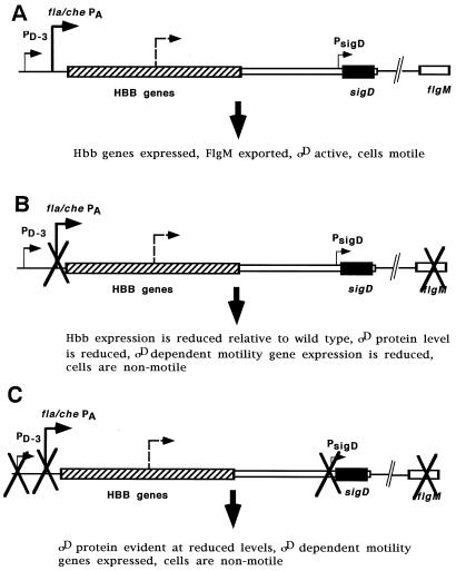 FIG. 7