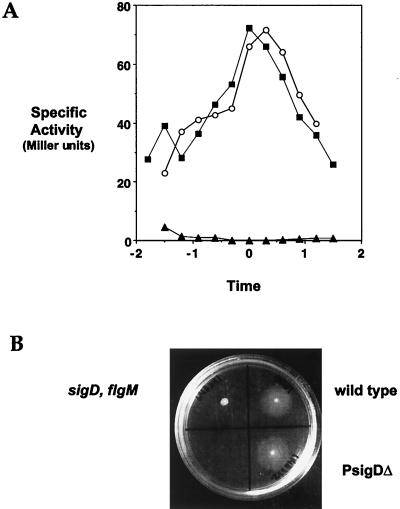 FIG. 6