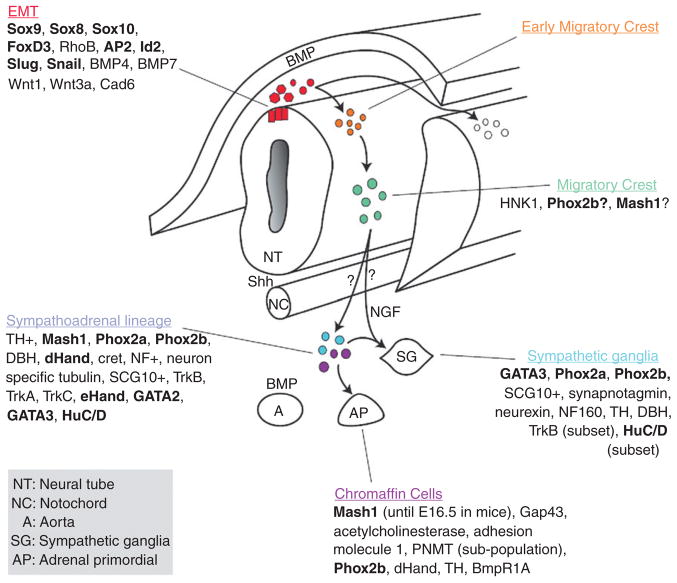 Figure 4. 2