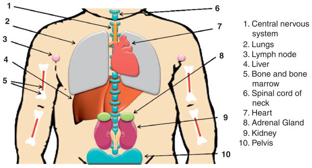 Figure 4. 1