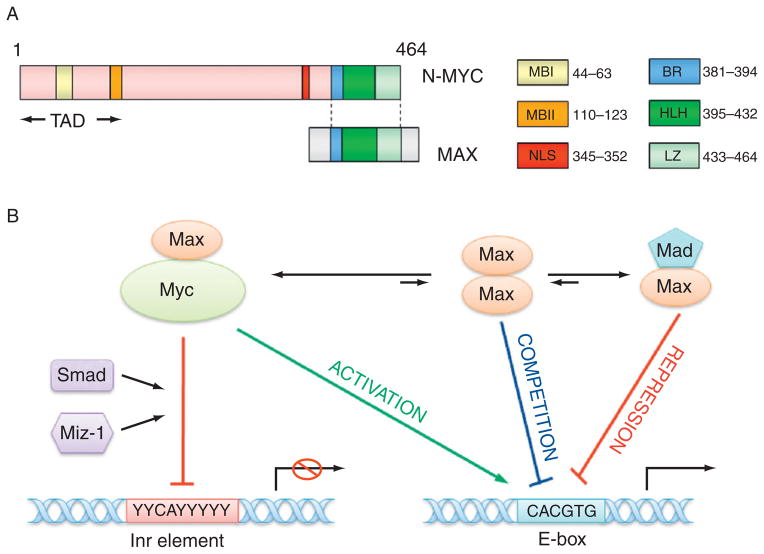 Figure 4. 3